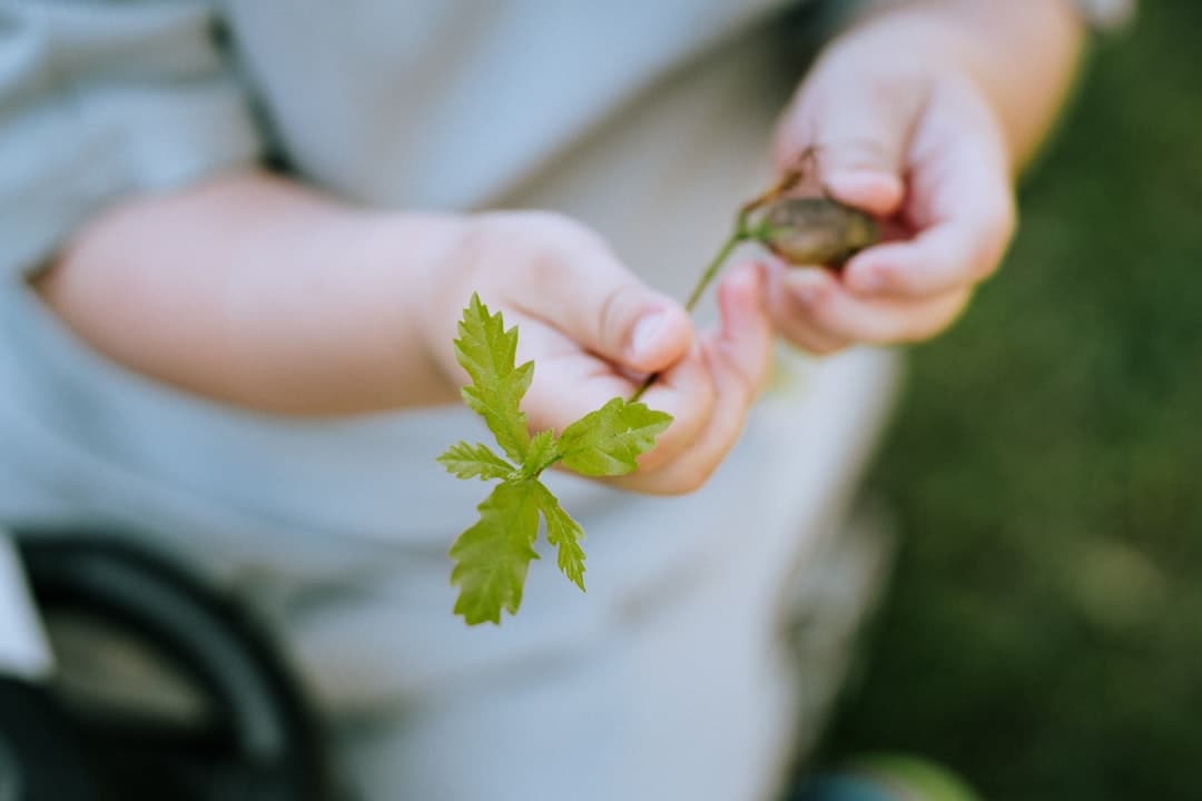 Learning through nature